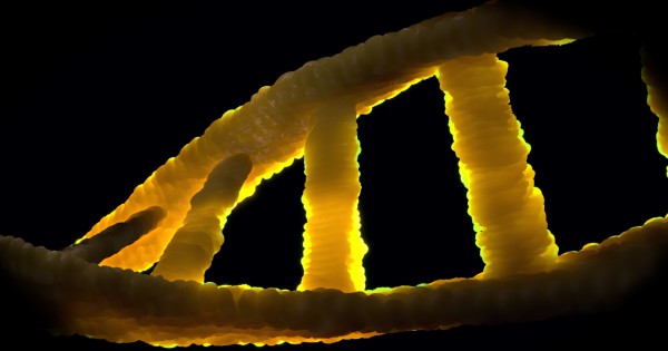 DNA (1).jpg