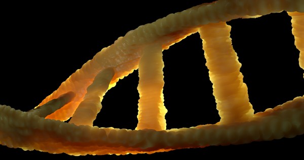 DNA.wing-light-cloud-reflection-biology-flame-625449-pxhere.com1.jpg