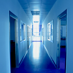 Hallway-small.jpg