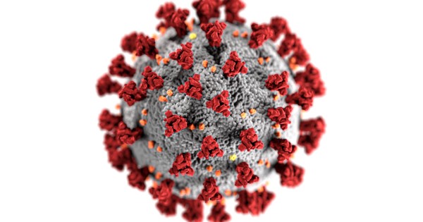 covid-19-coronavirus-covid-cell-pandemic-corona-virus-1608792-pxhere.com (1).jpg