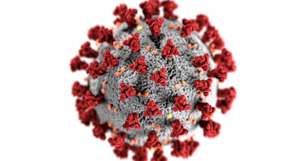 covid-19-coronavirus-covid-cell-pandemic-corona-virus-1608792-pxhere.com (2) (1).jpg