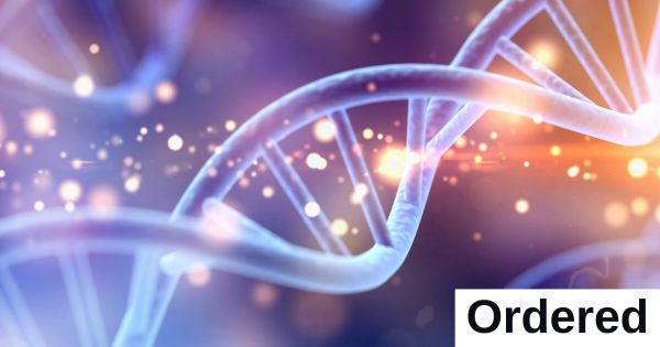 A strand of DNA.